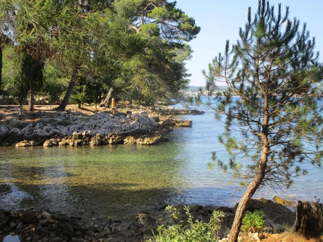 Marija * Njivice